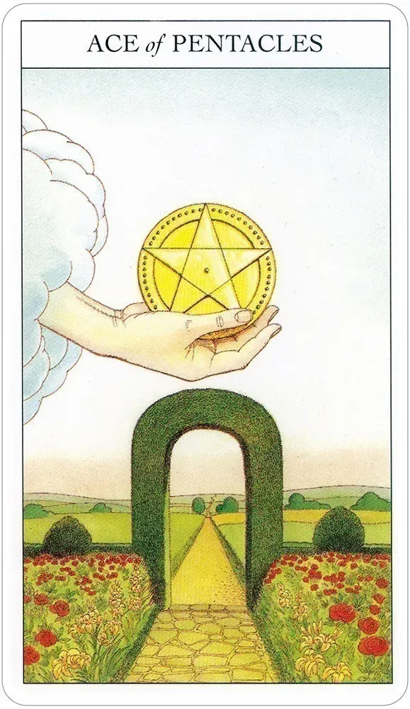 Beginner's Guide to Tarot