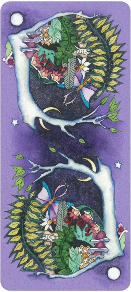Tarot Of A Moon Garden Borderless Deck & Book Set
