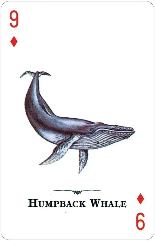 Endangered Species of the Natural World Playing Cards