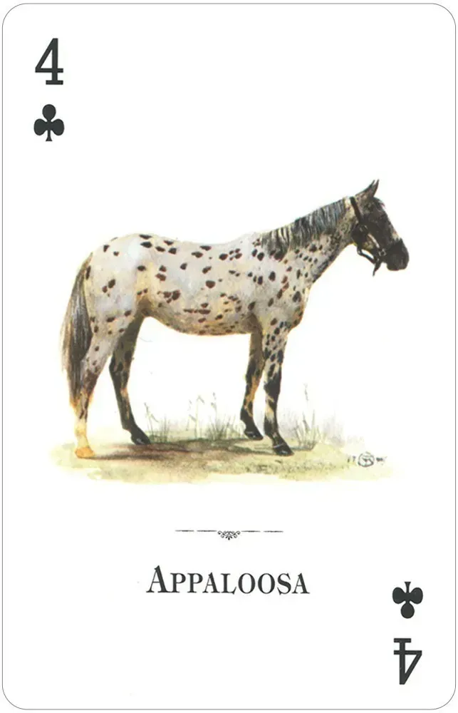 Horses of the Natural World Playing Cards