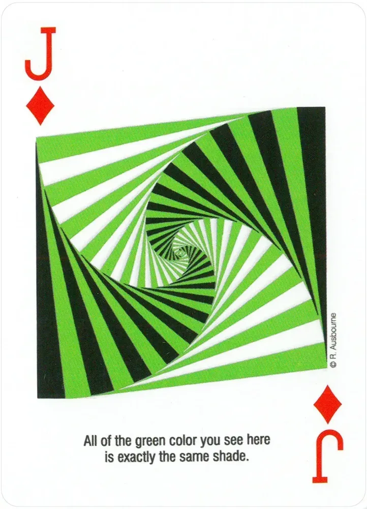 Optical Illusions & Visual Oddities I Playing Card Deck