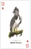 Birds of Prey of the Natural World Playing Cards