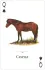 Horses of the Natural World Playing Cards