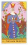 Whimsical Witch Tarot in a Tin