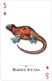 Reptiles & Amphibians of the Natural World Playing Cards